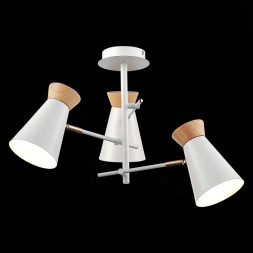 Люстра на штанге Evoluce ALFEO SLE1252-502-03