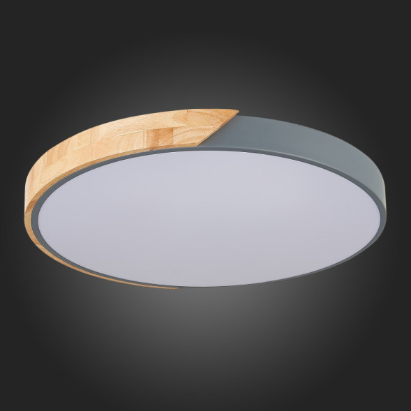 Потолочный светильник Evoluce Festa SLE200972-01