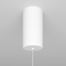 Подвесной светильник Maytoni Technical RAY P022PL-L10W