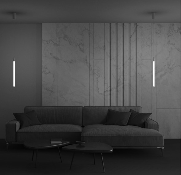 Подвесной светильник Maytoni Technical RAY P022PL-L10W