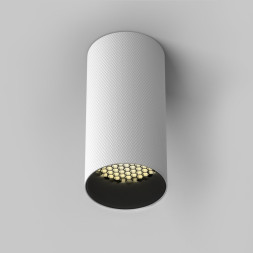 Накладной точечный светильник Maytoni Technical Artisan C080CL-01-GU10-W