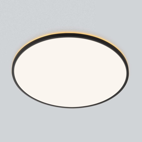 Потолочный светильник Citilux CL748601 Norma