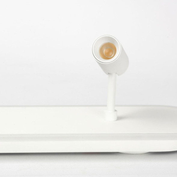 Спот Lussole HARRIS LSP-7278