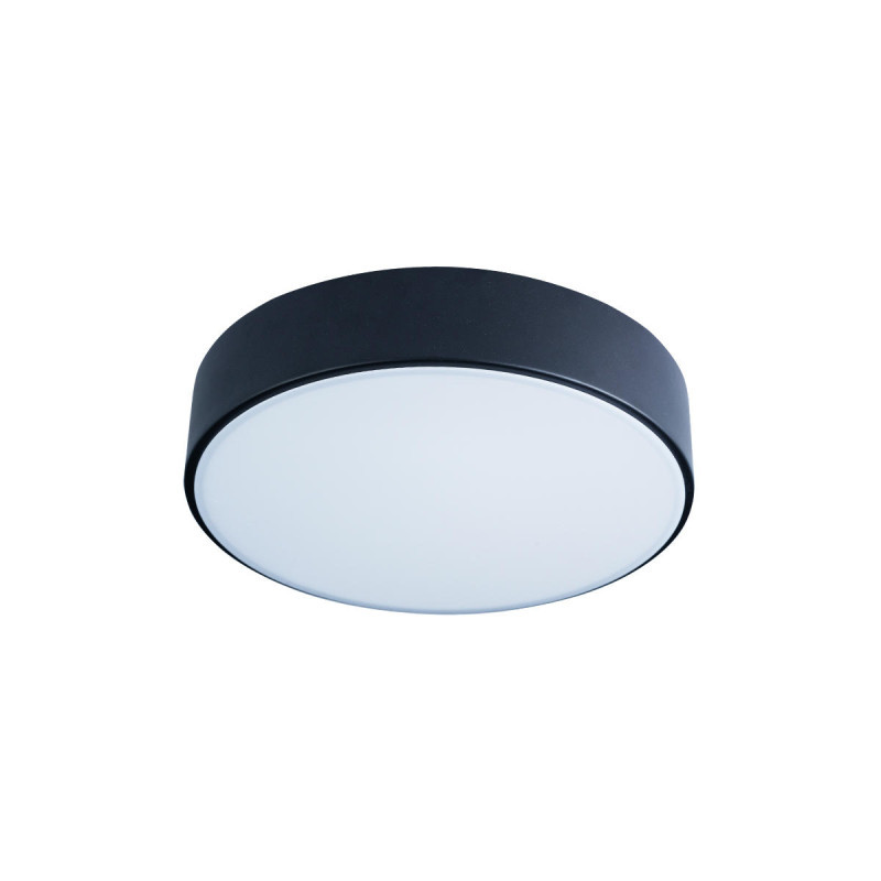 Потолочный светильник LOFT IT AXEL 10002/12 Black