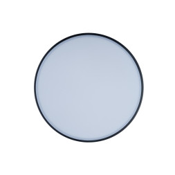 Потолочный светильник LOFT IT AXEL 10002/12 Black