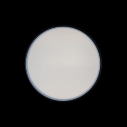 Потолочный светильник LOFT IT AXEL 10002/12 Black