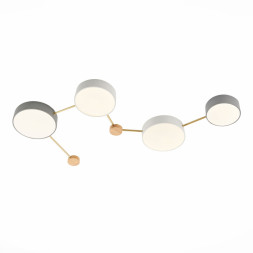 Потолочный светильник Evoluce SLE600102-04 DOSSENA