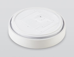 Светильник потолочный Ambrella Light ORBITAL FZ1350