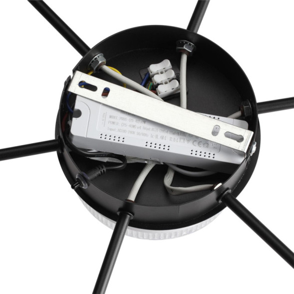 Потолочная люстра LUMION DIDANA 8236/7CL