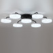 Потолочная люстра LUMION DIDANA 8236/7CL
