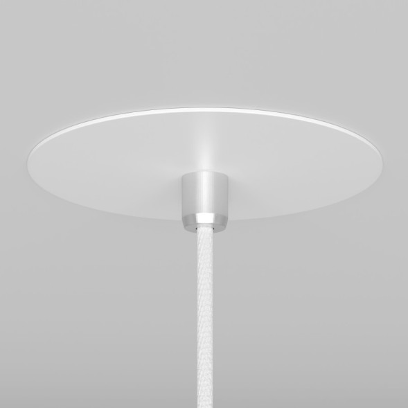 Подвесной светильник Maytoni Technical Nevill P318-PL-01-W