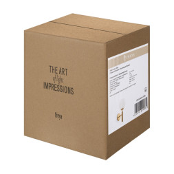 Бра Freya ZELDA FR5124WL-01BS