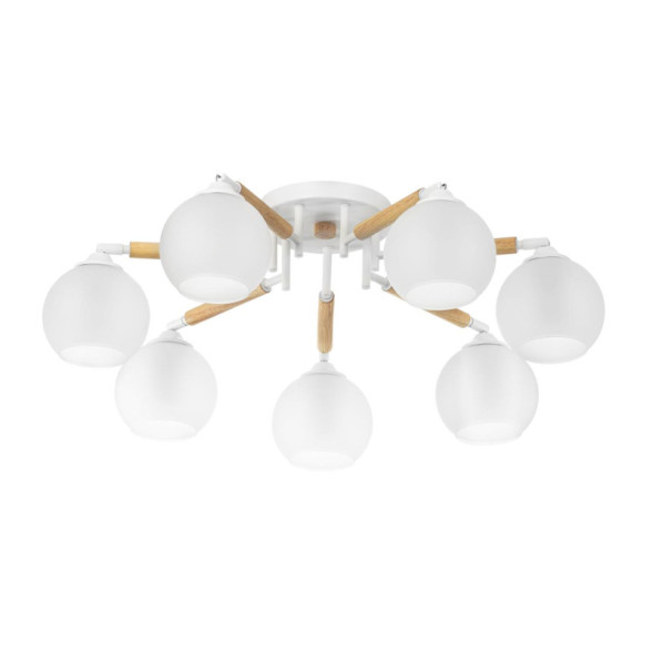 Потолочная люстра Citilux CL133170 TIKA