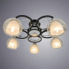 Потолочная люстра ARTE Lamp Ginevra A1604PL-5BK