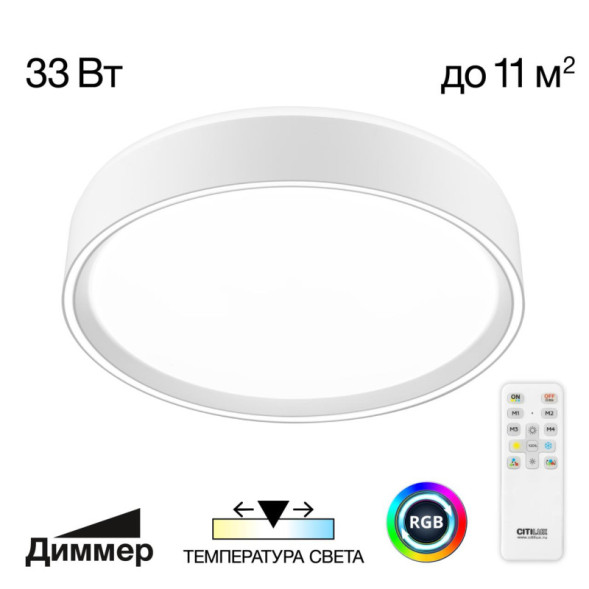Потолочный светильник Citilux BOSS CL751250G