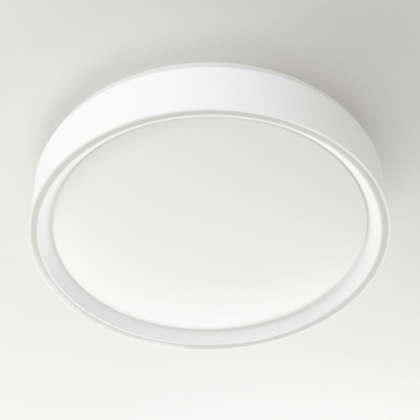 Потолочный светильник Citilux BOSS CL751250G