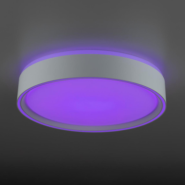 Потолочный светильник Citilux BOSS CL751250G