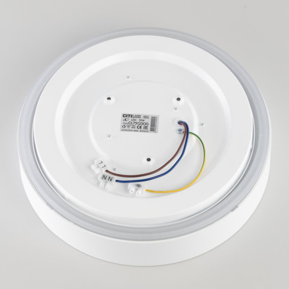 Потолочный светильник Citilux BOSS CL751250G