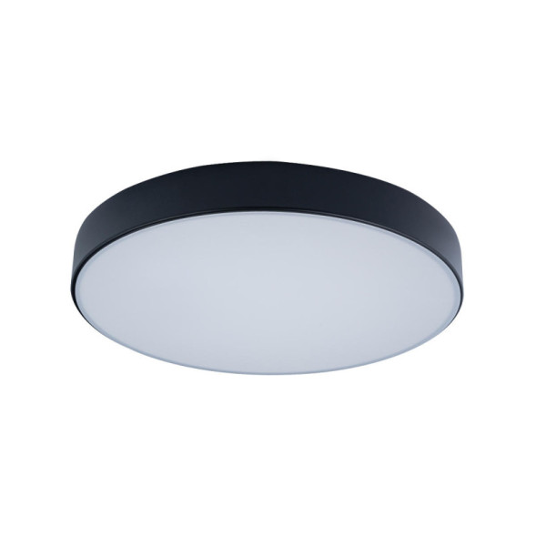Потолочный светильник LOFT IT AXEL 10002/24 Black