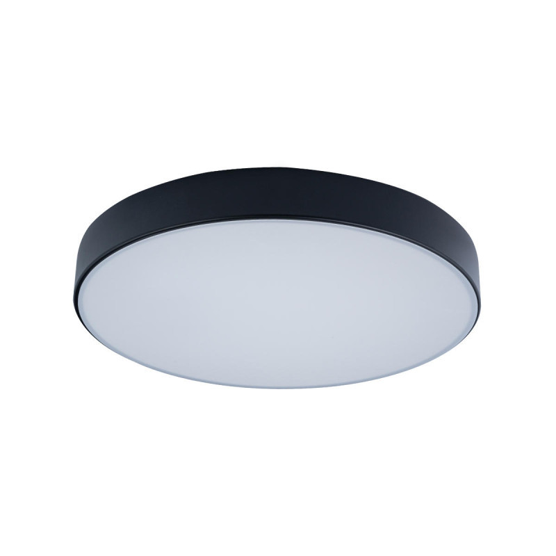 Потолочный светильник LOFT IT AXEL 10002/24 Black
