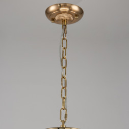 Подвесная люстра Favourite ROCCA 2689-9P