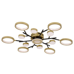 Люстра потолочная F-Promo Hybrid 4686-13C