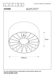 Потолочный светильник LUCIDE ZIDANE 77185/30/30