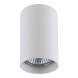 Накладной точечный светильник Lightstar RULLO 214436