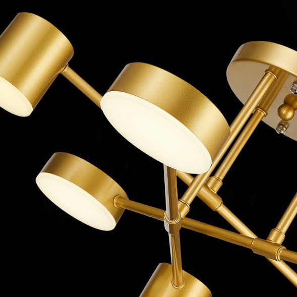 Люстра на штанге Evoluce NOBEL SLE201022-06