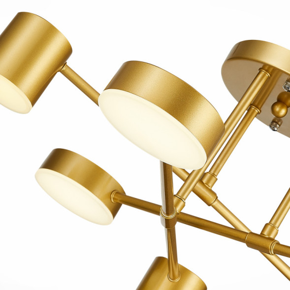 Люстра на штанге Evoluce NOBEL SLE201022-06