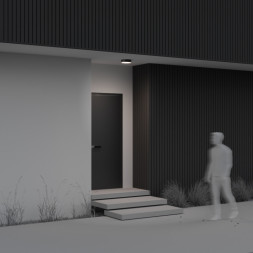 Накладной уличный светильник Maytoni Zon IP O431CL-L30B4K