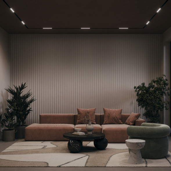 Магнитный трековый светильник Maytoni Technical Points TR076-2-20W3K-B