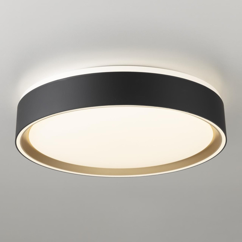 Потолочный светильник Citilux BOSS CL751251G