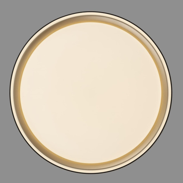 Потолочный светильник Citilux BOSS CL751251G