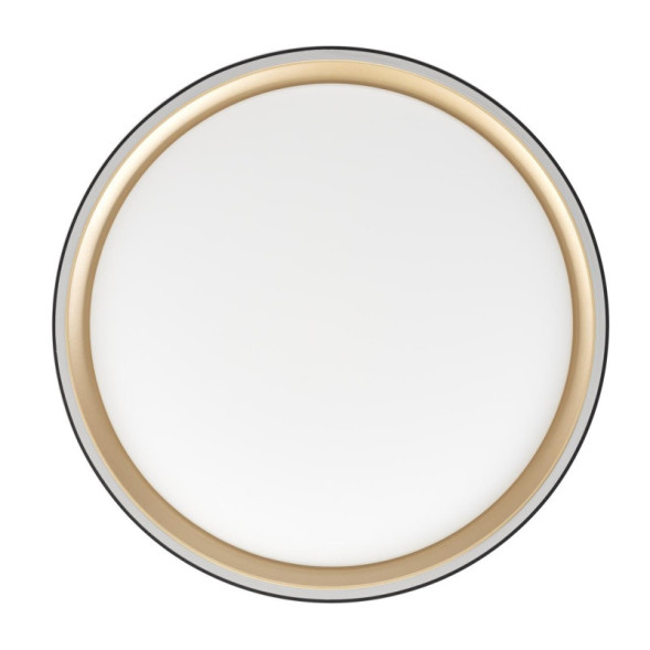 Потолочный светильник Citilux BOSS CL751251G