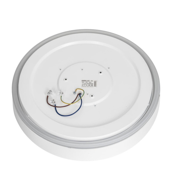 Потолочный светильник Citilux BOSS CL751350G