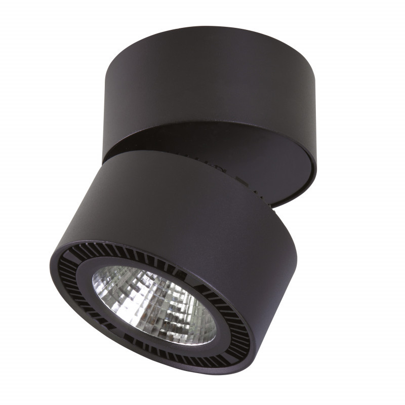 Накладной точечный светильник Lightstar FORTE MURO 213857