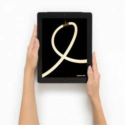 Подвесной светильник ARTE Lamp KLIMT A2850SP-80PB