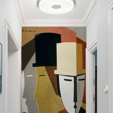 Потолочный светильник Vele Luce Flash VL7215L01