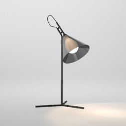 Настольная лампа Eurosvet 01186/1 черный ENIGMA