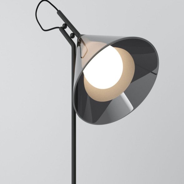 Настольная лампа Eurosvet 01186/1 черный ENIGMA