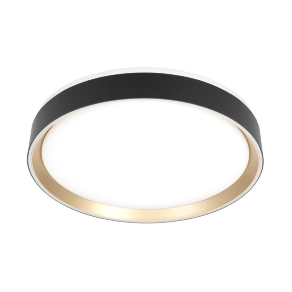 Потолочный светильник Citilux BOSS CL751351G