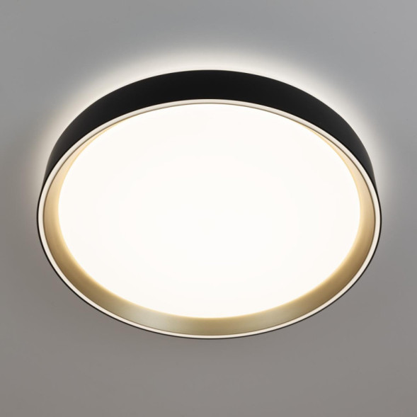 Потолочный светильник Citilux BOSS CL751351G