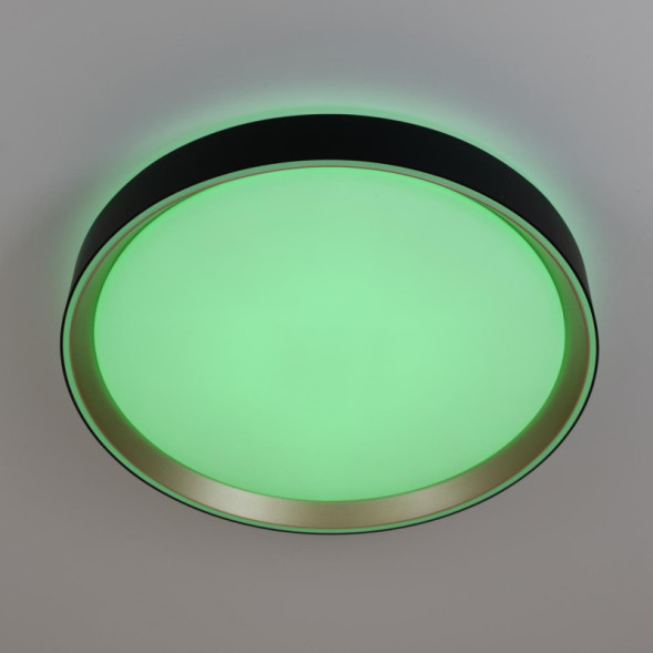 Потолочный светильник Citilux BOSS CL751351G