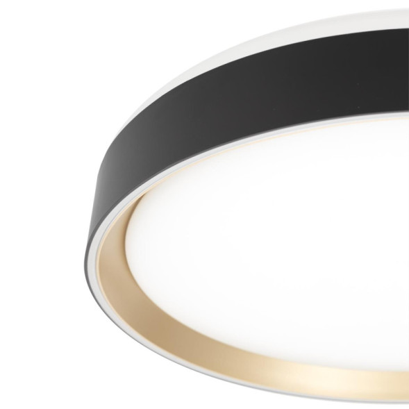 Потолочный светильник Citilux BOSS CL751351G