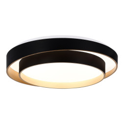 Потолочный светильник Evoluce SLE6009-402-01 Crosby