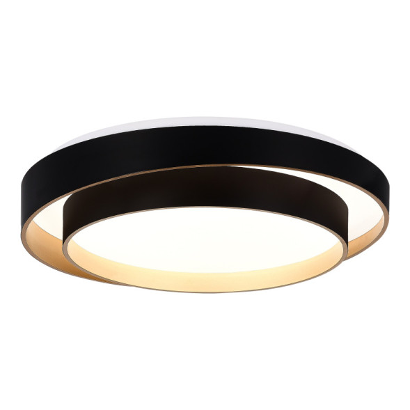 Потолочный светильник Evoluce SLE6009-402-01 Crosby