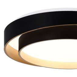 Потолочный светильник Evoluce SLE6009-402-01 Crosby