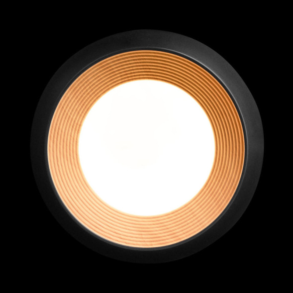 Потолочный светильник LOFT IT 10255/350 Black