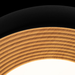 Потолочный светильник LOFT IT 10255/350 Black